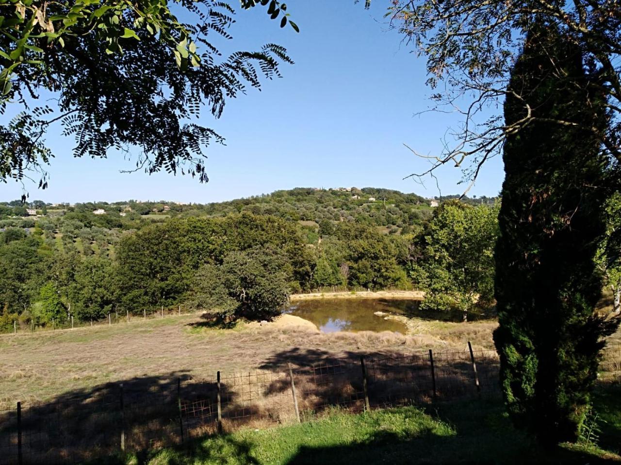 מנצ'יאנו Il Daino Bianco Country Hotel מראה חיצוני תמונה