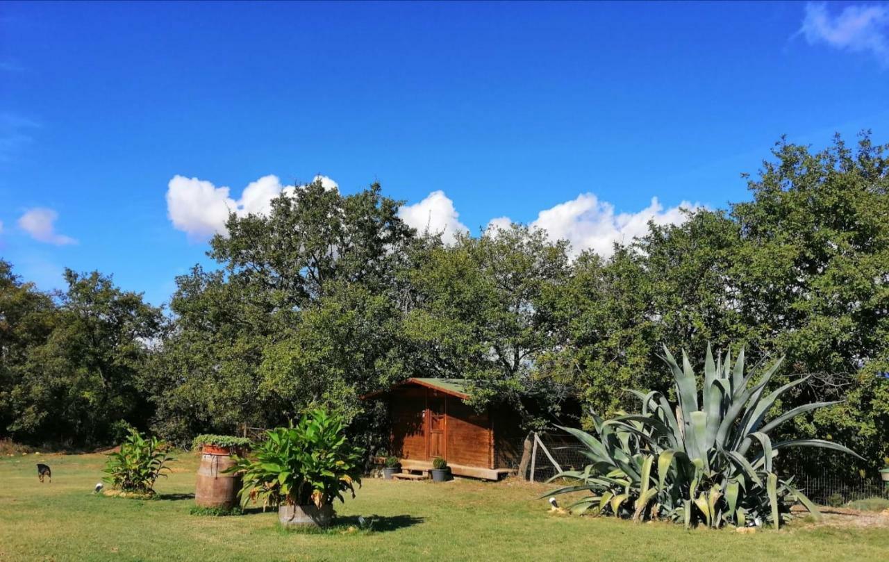 מנצ'יאנו Il Daino Bianco Country Hotel מראה חיצוני תמונה