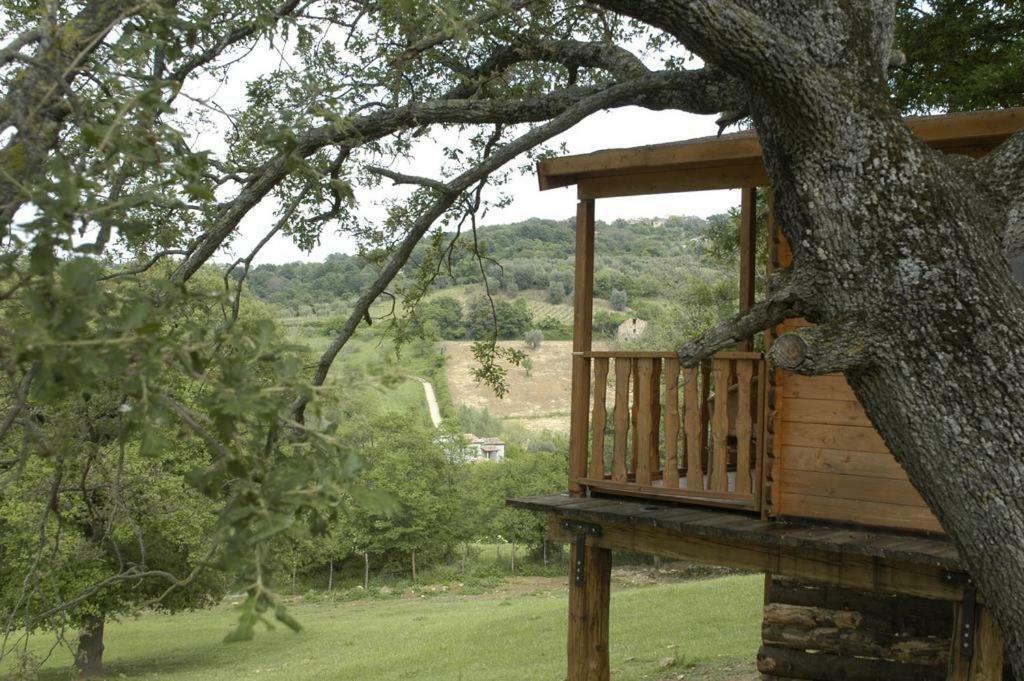 מנצ'יאנו Il Daino Bianco Country Hotel מראה חיצוני תמונה
