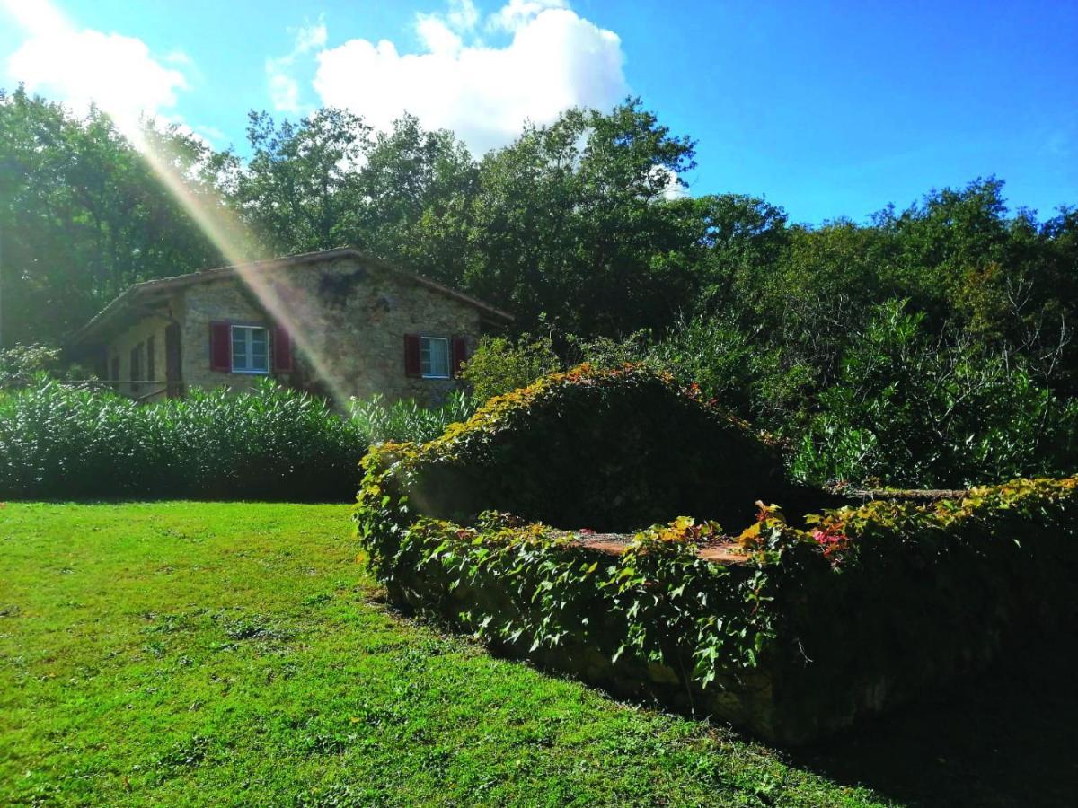 מנצ'יאנו Il Daino Bianco Country Hotel מראה חיצוני תמונה